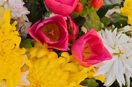 Photo, flower, petal, flower arrangement, 