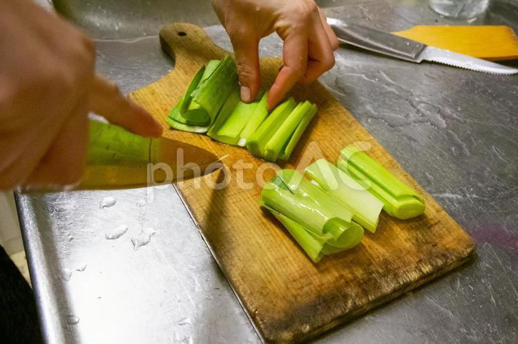 ポロネギを切る ポロネギ,リーキ,野菜の写真素材