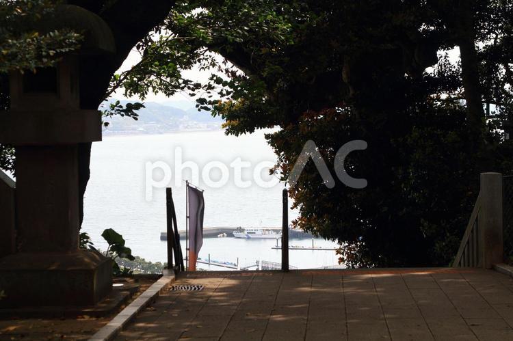 江の島神社からの眺めヨットヨットハーバー 江の島神社,江の島,緑の写真素材