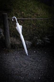 Photo, lost article, umbrella, park, 