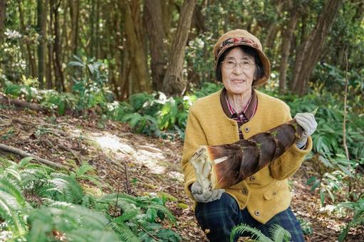 タケノコ刈りをする高齢の女性 タケノコ刈りをする高齢の女性 60代,タケノコ,田舎の写真素材