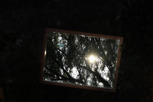 鏡 鏡 鏡,額縁,額の写真素材