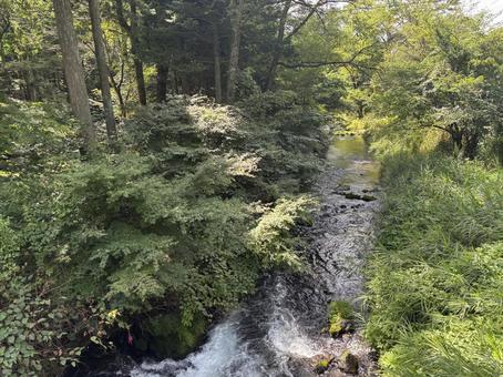 長野県軽井沢町 湯川-4 長野県軽井沢町 湯川-4の写真