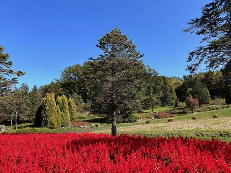 Photo, hokkaido, yuni town, yuni garden, 