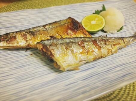 Pacific saury, питание, еда, плита, JPG