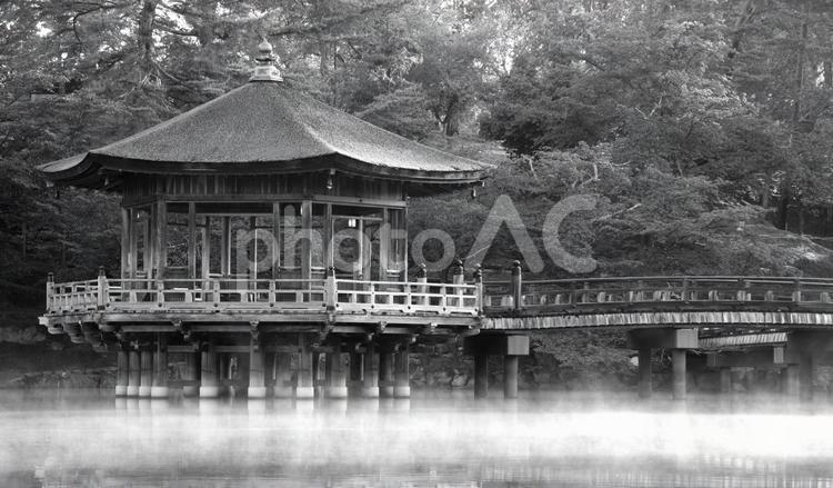 早朝の浮見堂（奈良公園） 浮見堂,奈良,公園の写真素材