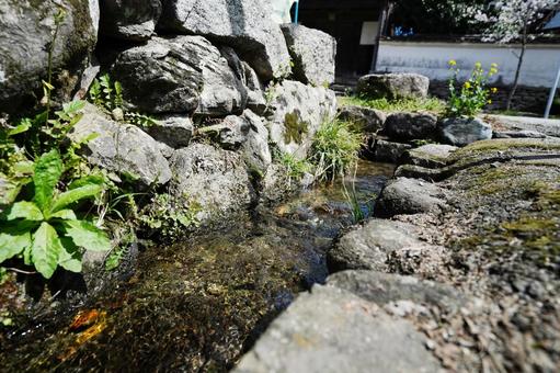 福岡 秋月 通りを流れる用水路5 福岡 秋月 通りを流れる用水路5 用水路,水路,水の写真素材