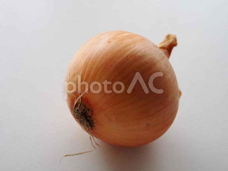 テーブルに一つ置かれた玉ねぎ 玉葱,玉ネギ,たまねぎの写真素材