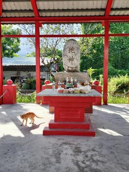 豊田地神祠 豊田地神祠 豊田地神祠,旧豊田移民村,旧豊田村の写真素材