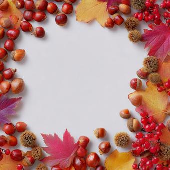 秋のフレーム背景　紅葉・木の実・どんぐりの写真