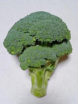 ブロッコリー ブロッコリー,野菜,食材の写真素材