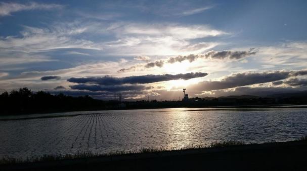 田んぼ 田んぼの写真