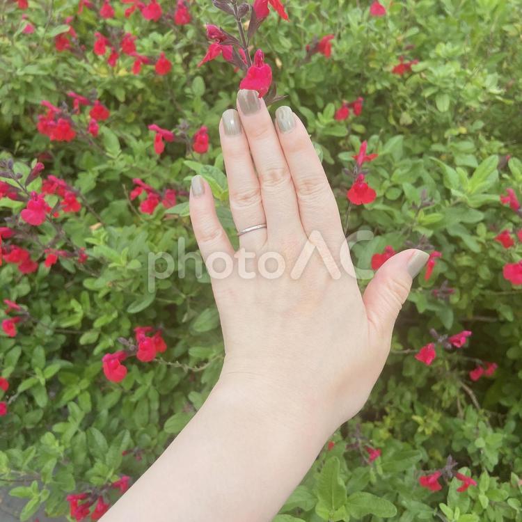 グレーのネイル ネイル,ハンド,ハンドネイルの写真素材
