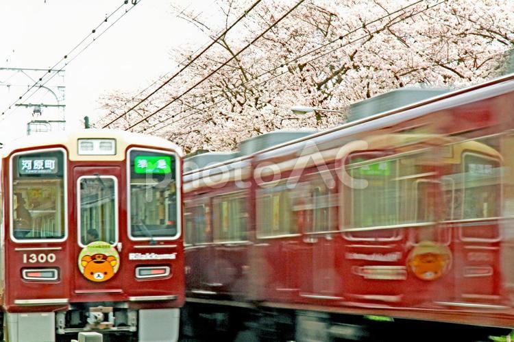 電車 電車,桜,阪急電車の写真素材