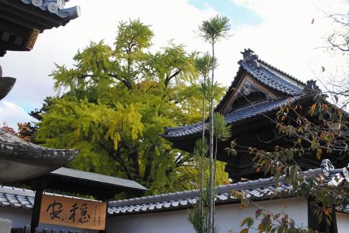 Photo, shinshu, suzaka, walking in town, 