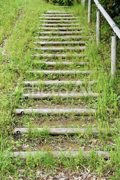 遊歩道の木の階段 階段,木,木製の写真素材