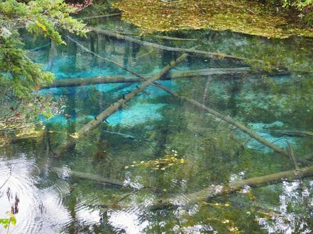神の子池 自然,風景,景色の写真素材