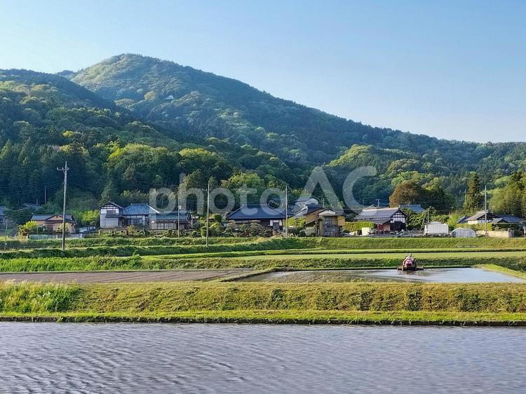茨城県石岡市吉生の春の水田風景 水田,田圃,田んぼの写真素材