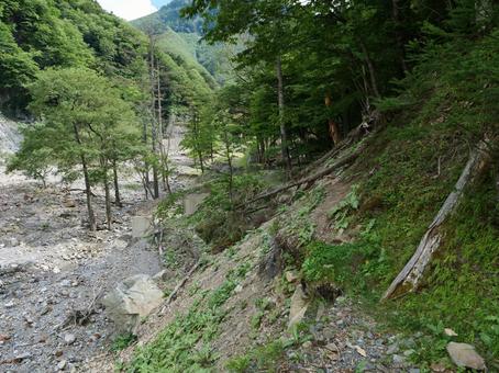 鋸岳登山道 鋸岳登山道の写真