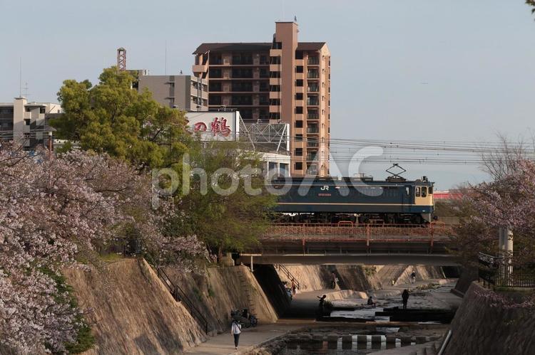 国鉄型電気機関車がゆく 鉄道,電車,機関車の写真素材