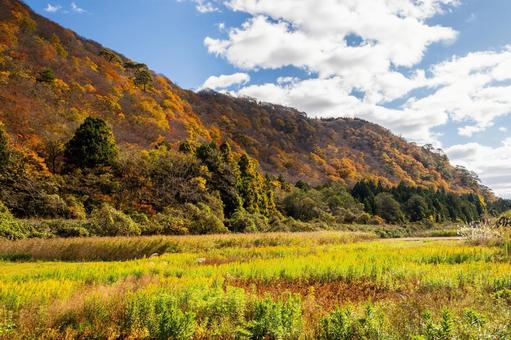 里山の紅葉⑴ 秋,紅葉,山の写真素材