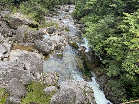 森の湧水・屋久島 水,流れ,水流の写真素材