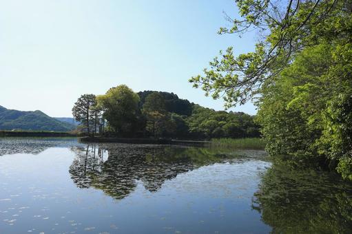 Photo, shuhin shrine, a shrine, trees, 