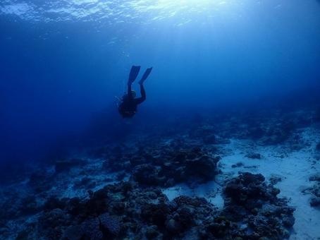 沖縄ダイビング 沖縄ダイビング ダイビング,スキューバーダイビング,沖縄の写真素材