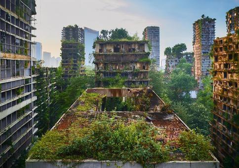 自然が支配する廃墟の高層ビル群 自然が支配する廃墟の高層ビル群の写真