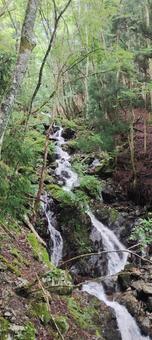 竜頭山の滝002 竜頭山の滝002の写真