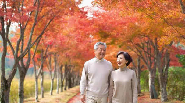 紅葉した並木道を歩く老夫婦 紅葉した並木道を歩く老夫婦の写真