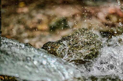 水の躍動 水の躍動の写真