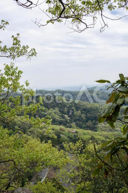 栃木県唐沢山からの春景色 春の山,黄緑,緑の写真素材