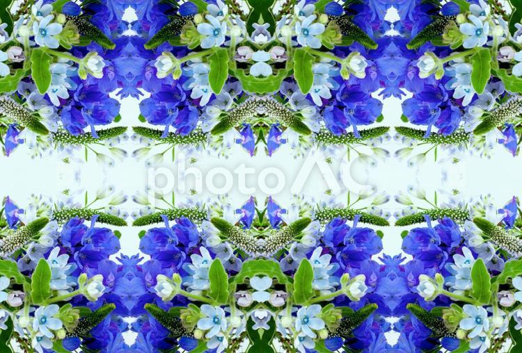 ブルーとグリーンの花柄イメージ素材 花,青,デルフィニウムの写真素材