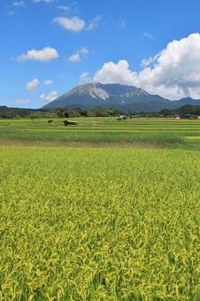 夏の貝田集落 11 夏の貝田集落 11 大山,貝田集落,棚田の写真素材