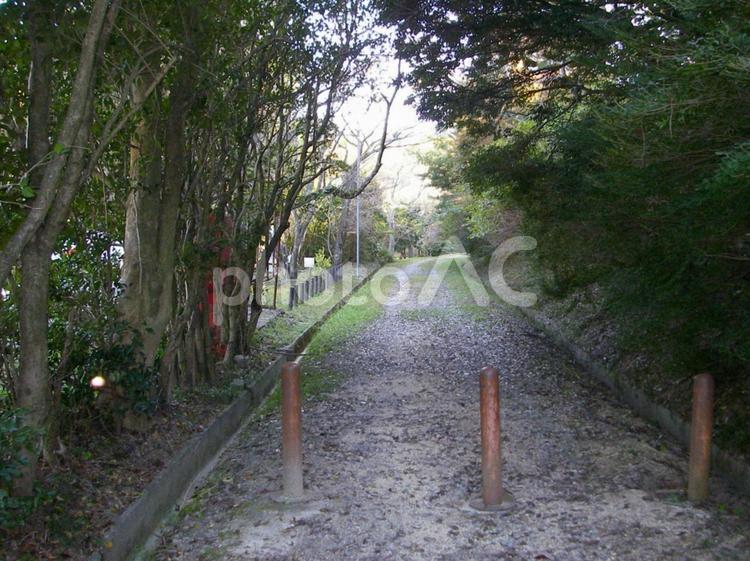 公園 背景,小道,道の写真素材