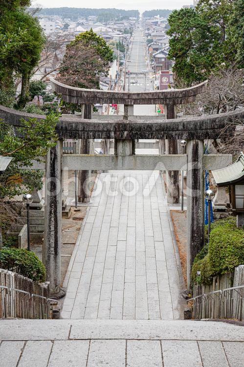 宮地嶽神社　 有名,鳥居,参道の写真素材