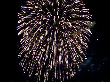 美しい打ち上げ花火 美しい打ち上げ花火 花火,夜空,打ち上げ花火の写真素材