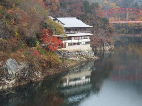 【紅葉写真】美しい紅葉 紅葉,自然,風景の写真素材