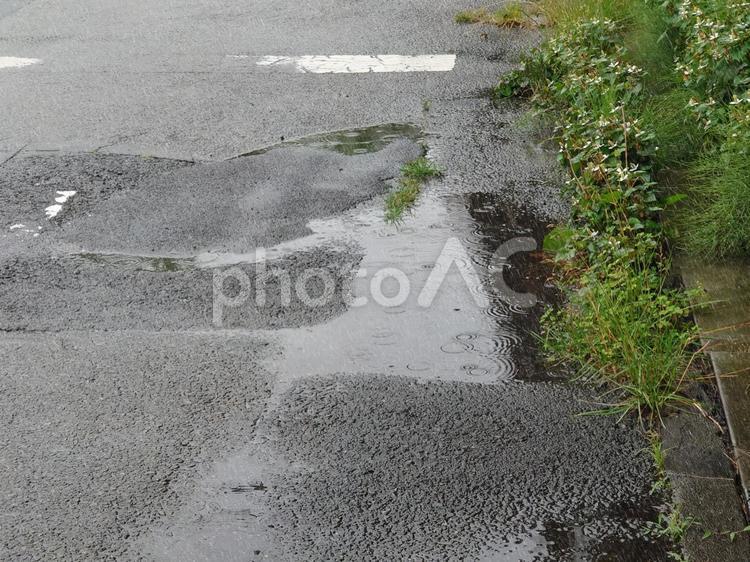雨の日の道路と水たまり 雨,道路,水たまりの写真素材
