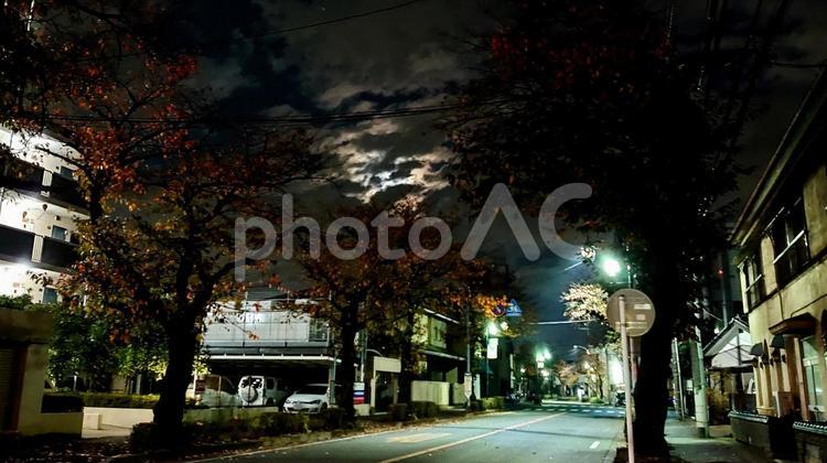 夜の住宅街 夜,住宅街,道路の写真素材
