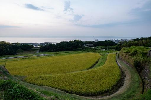 ［街角スナップ］島の風景｜淡路島 淡路島,兵庫県,淡路市の写真素材