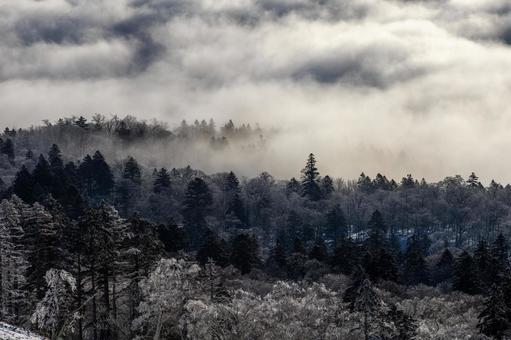 朝もやが立ち込める美幌峠 朝もやが立ち込める美幌峠 霧,雲海,美幌峠の写真素材