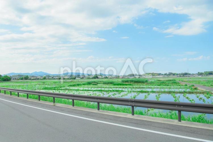 日本の田舎　素材 イメージ 田舎,田んぼ,水田の写真素材