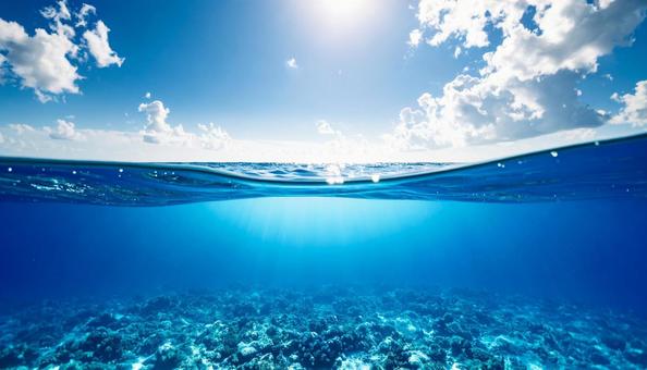 水中と空の境界線2 水中と空の境界線2の写真