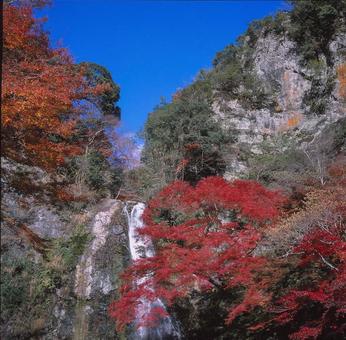 滝と紅葉 滝と紅葉の写真