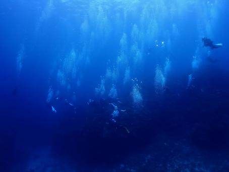 沖縄・石垣島海底をダイブする 沖縄・石垣島海底をダイブするの写真
