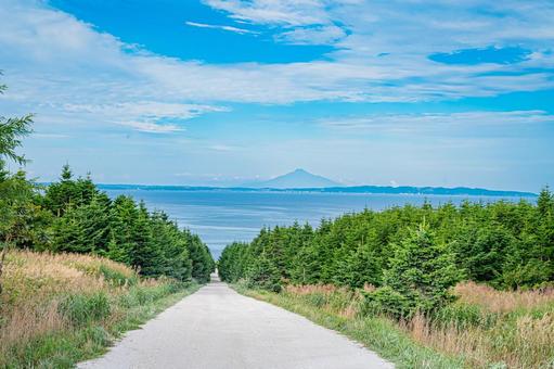 北海道 宗谷丘陵 白い道 北海道 宗谷丘陵 白い道の写真