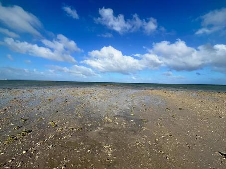 海　引き潮の写真