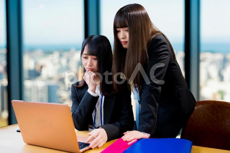 パソコンを使う二人のビジネスウーマン 女性,ビジネス,ビジネスウーマンの写真素材